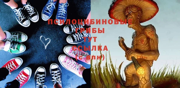 стаф Алексин