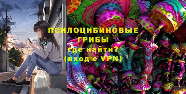 стаф Алексин